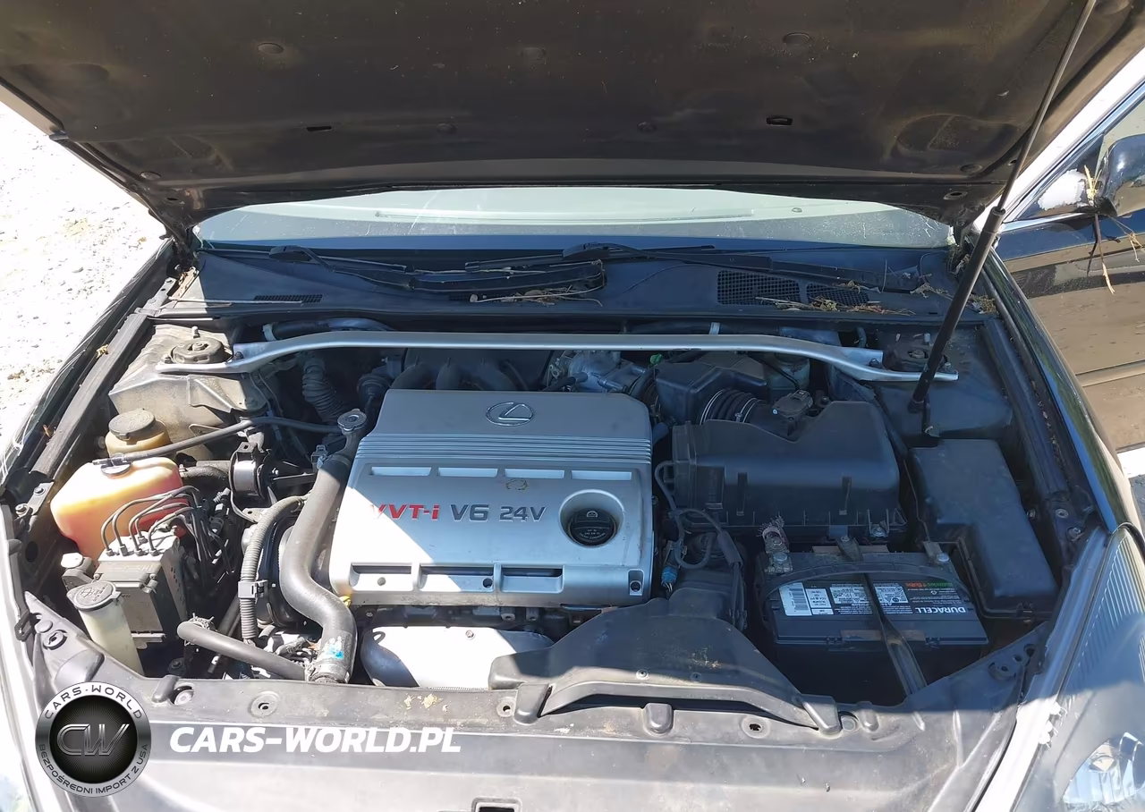2003 Lexus Es 300 VIN:JTHBF30G130102917 - 10