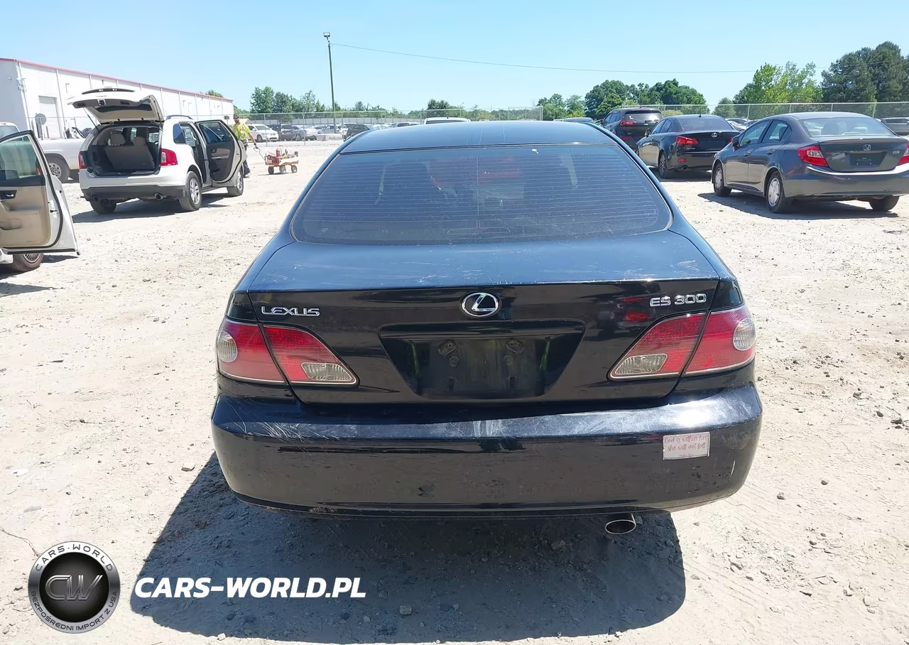 2003 Lexus Es 300 VIN:JTHBF30G130102917 - 17