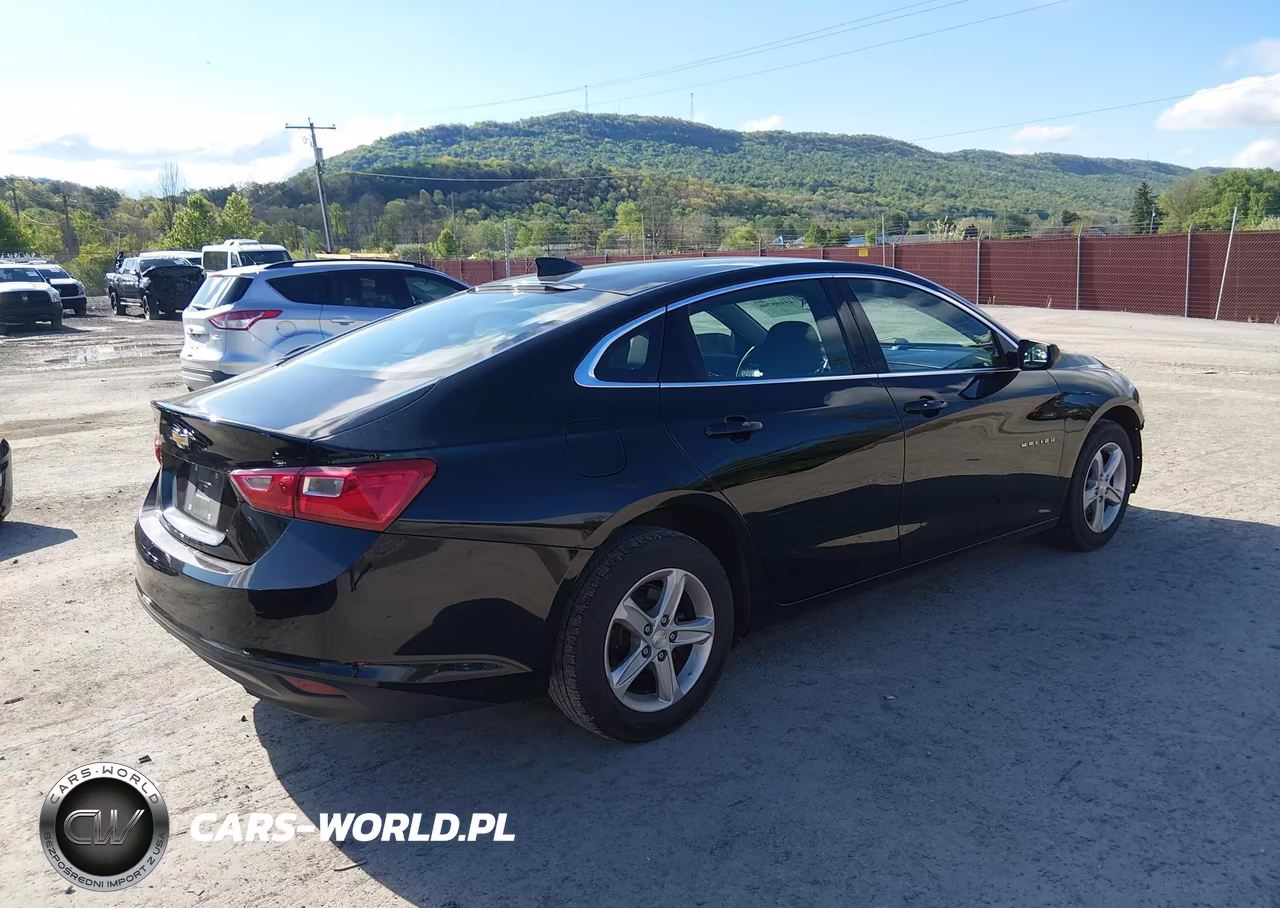 2020 Chevrolet Malibu Fwd Ls VIN:1G1ZB5ST5LF104614 - 4