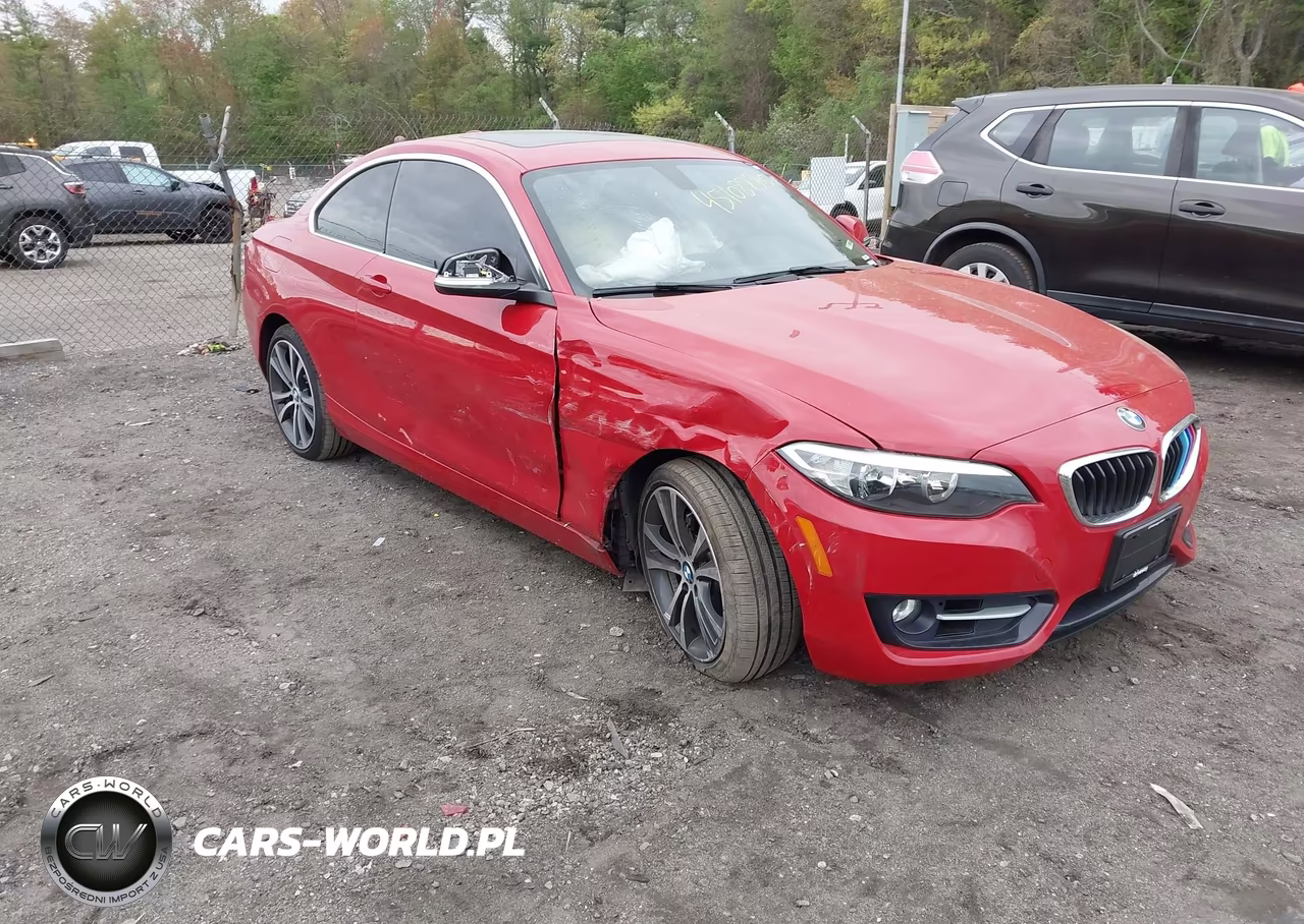 2016 BMW 228I