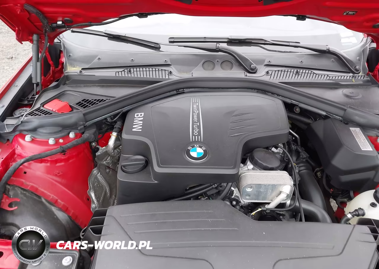 2016 BMW 228I VIN:WBA1F9C55GV546396 - 10