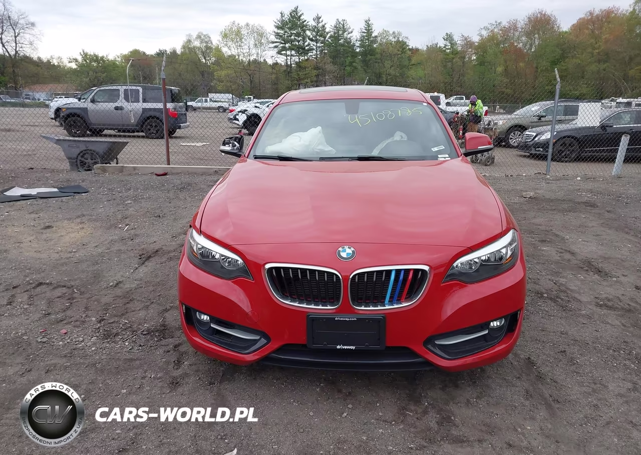 2016 BMW 228I VIN:WBA1F9C55GV546396 - 12