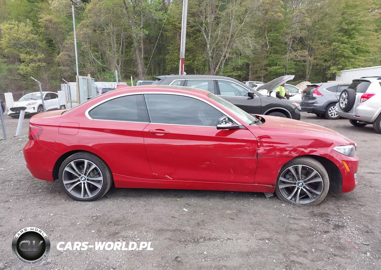 2016 BMW 228I VIN:WBA1F9C55GV546396 - 13