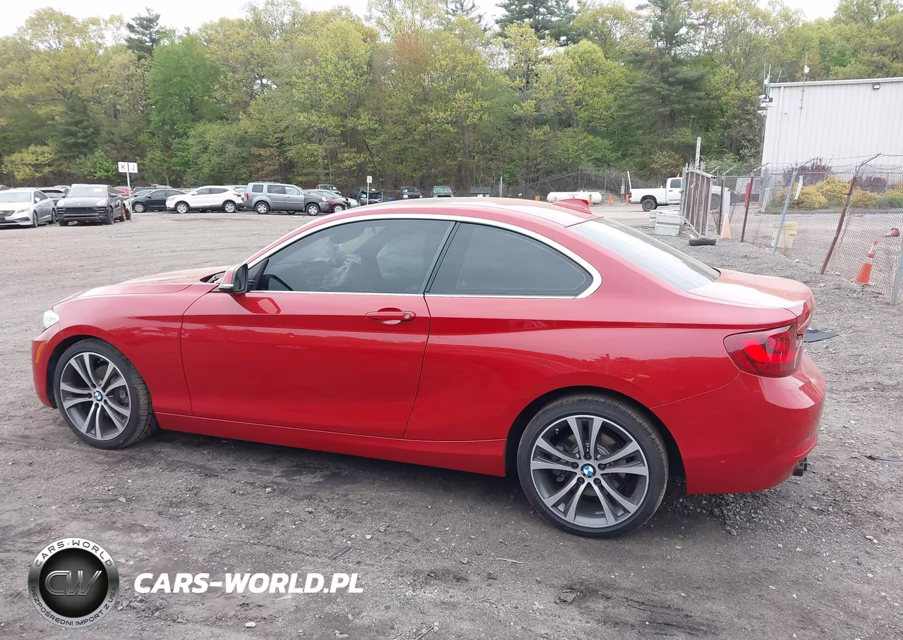 2016 BMW 228I VIN:WBA1F9C55GV546396 - 14