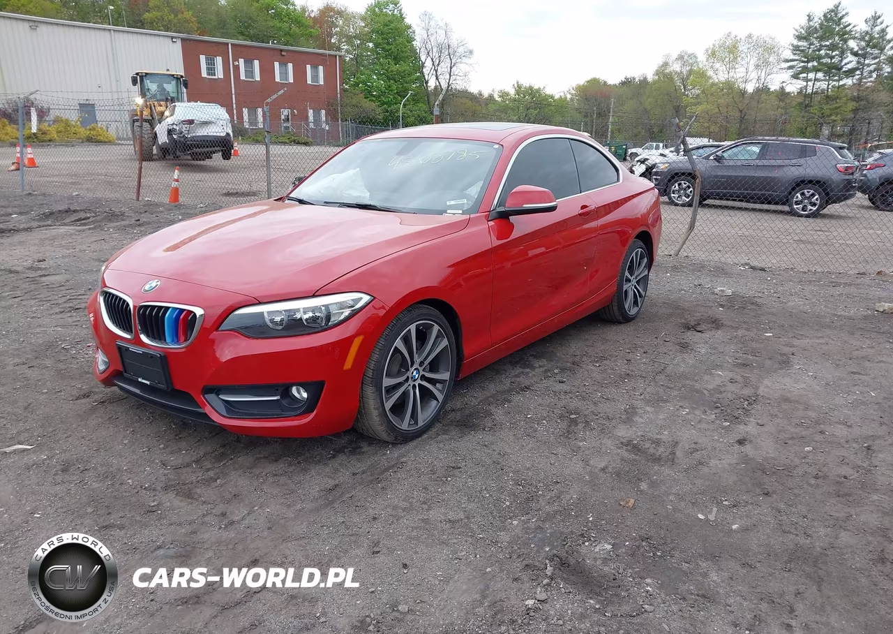 2016 BMW 228I VIN:WBA1F9C55GV546396 - 2