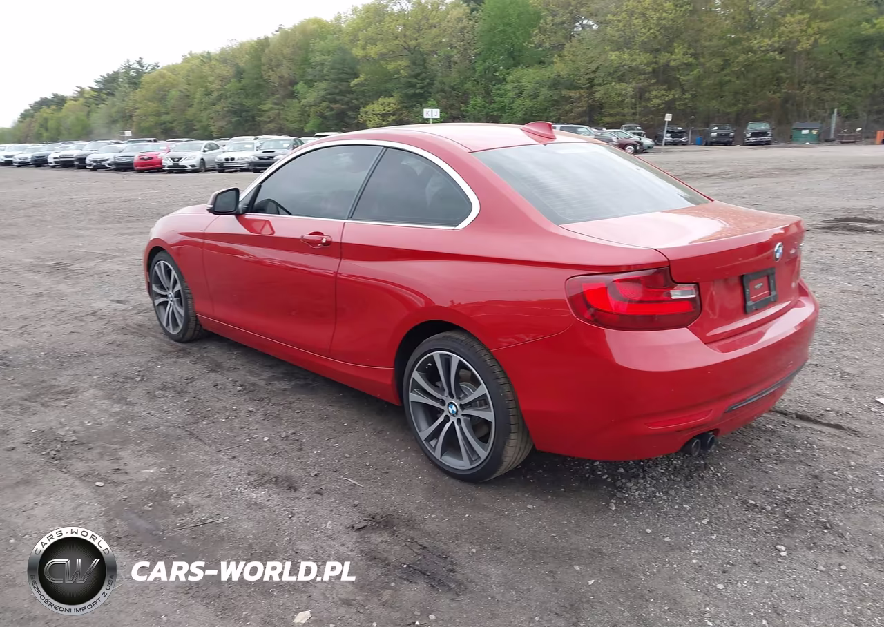 2016 BMW 228I VIN:WBA1F9C55GV546396 - 3