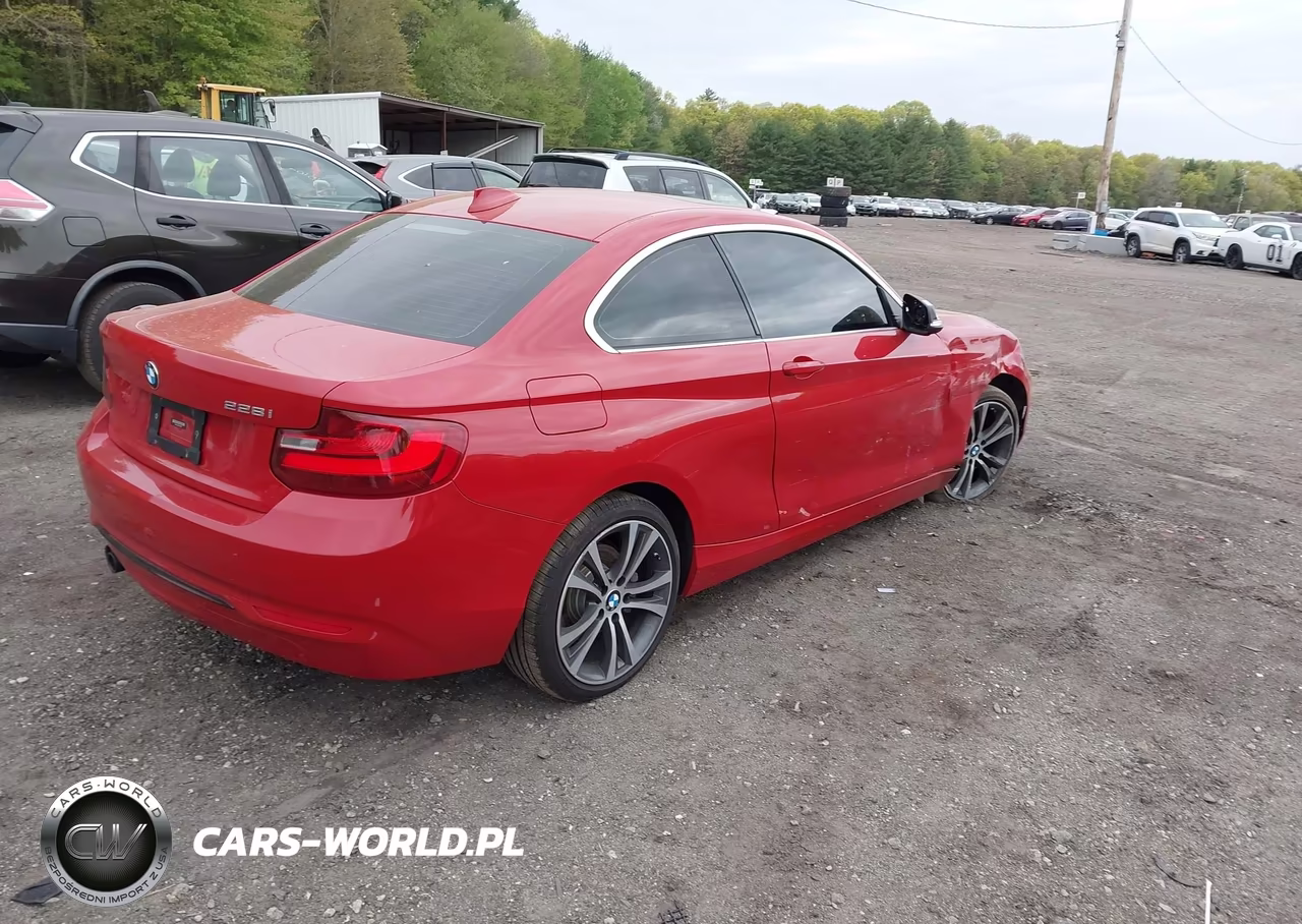 2016 BMW 228I VIN:WBA1F9C55GV546396 - 4