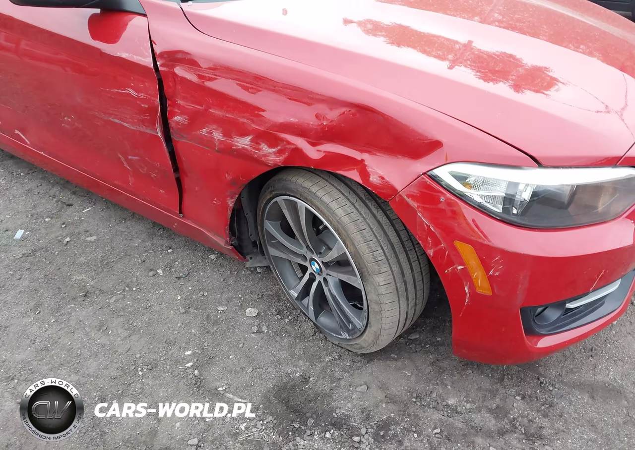 2016 BMW 228I VIN:WBA1F9C55GV546396 - 6