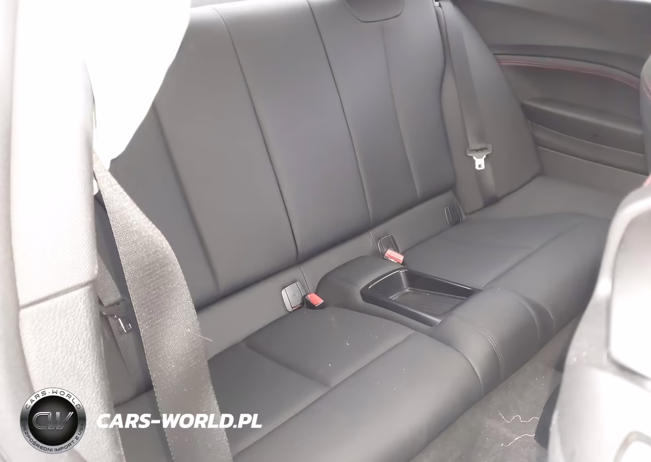 2016 BMW 228I VIN:WBA1F9C55GV546396 - 8