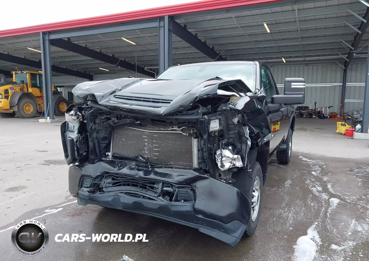 2020 Chevrolet Silverado 2500Hd 4Wd Long Bed Wt VIN:1GC3YLE79LF223250 - 11
