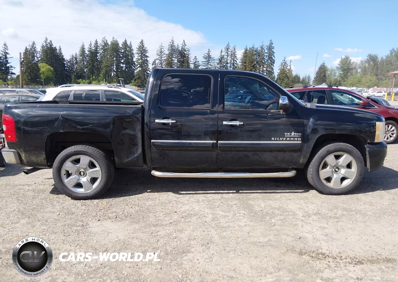2010 Chevrolet Silverado 1500 Lt VIN:3GCRCSE01AG165488 - 13