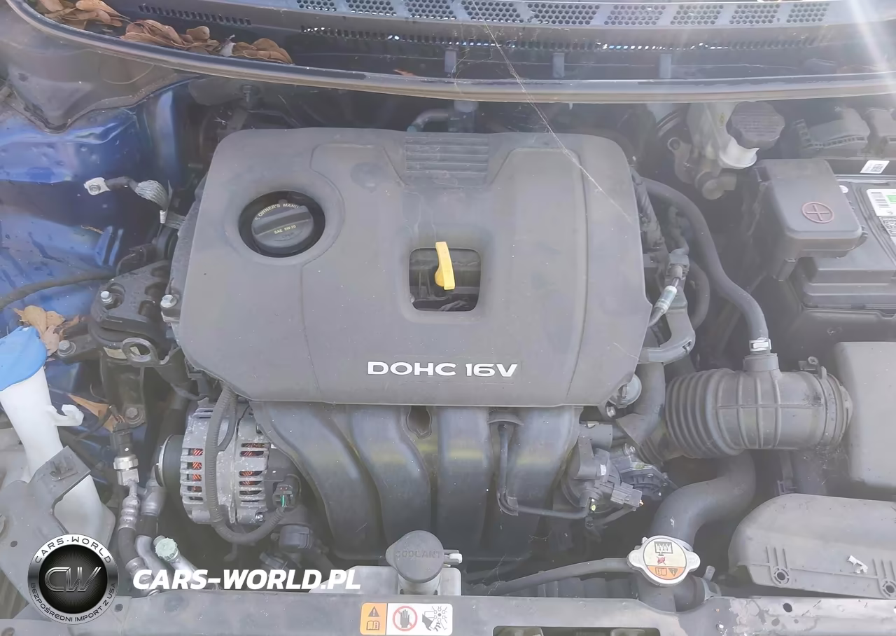 2018 Kia Forte Lx VIN:3KPFK4A77JE260010 - 10