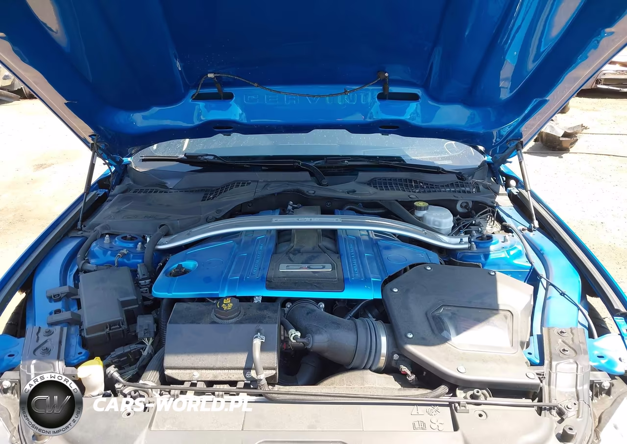 2019 Ford Mustang Gt Premium VIN:1FA6P8CF0K5108716 - 10