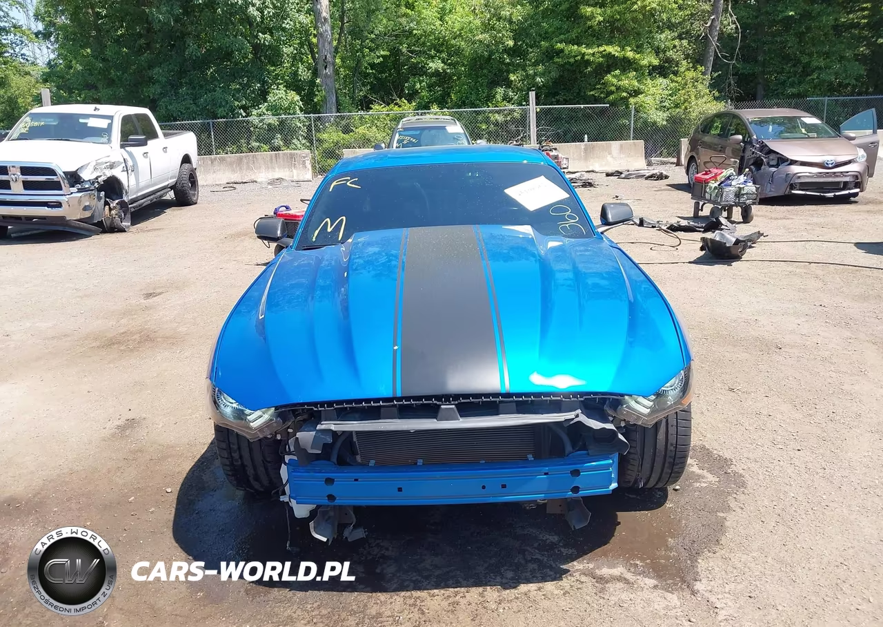 2019 Ford Mustang Gt Premium VIN:1FA6P8CF0K5108716 - 13