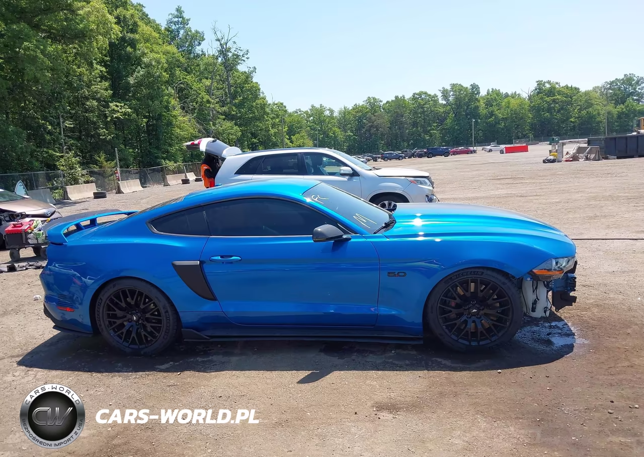 2019 Ford Mustang Gt Premium VIN:1FA6P8CF0K5108716 - 14