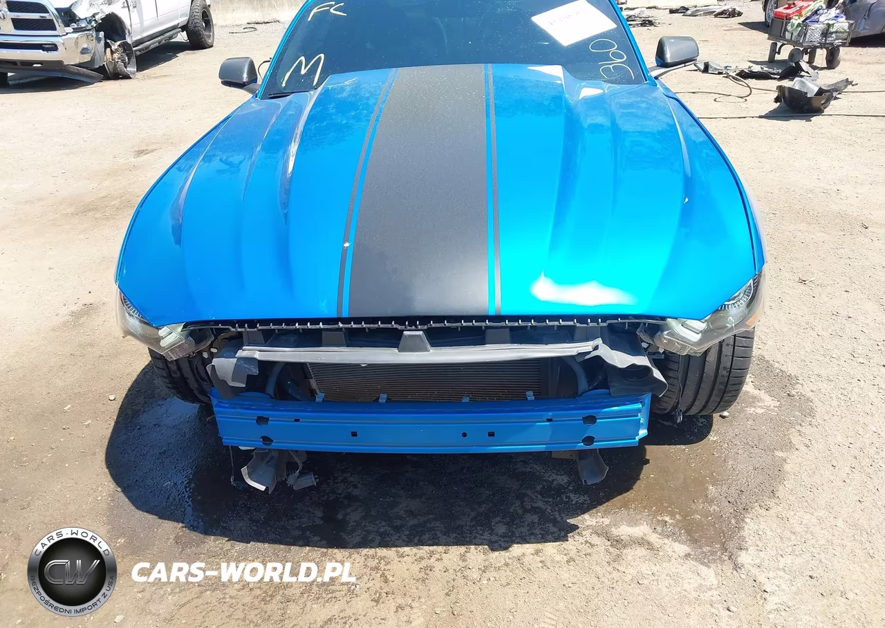 2019 Ford Mustang Gt Premium VIN:1FA6P8CF0K5108716 - 6