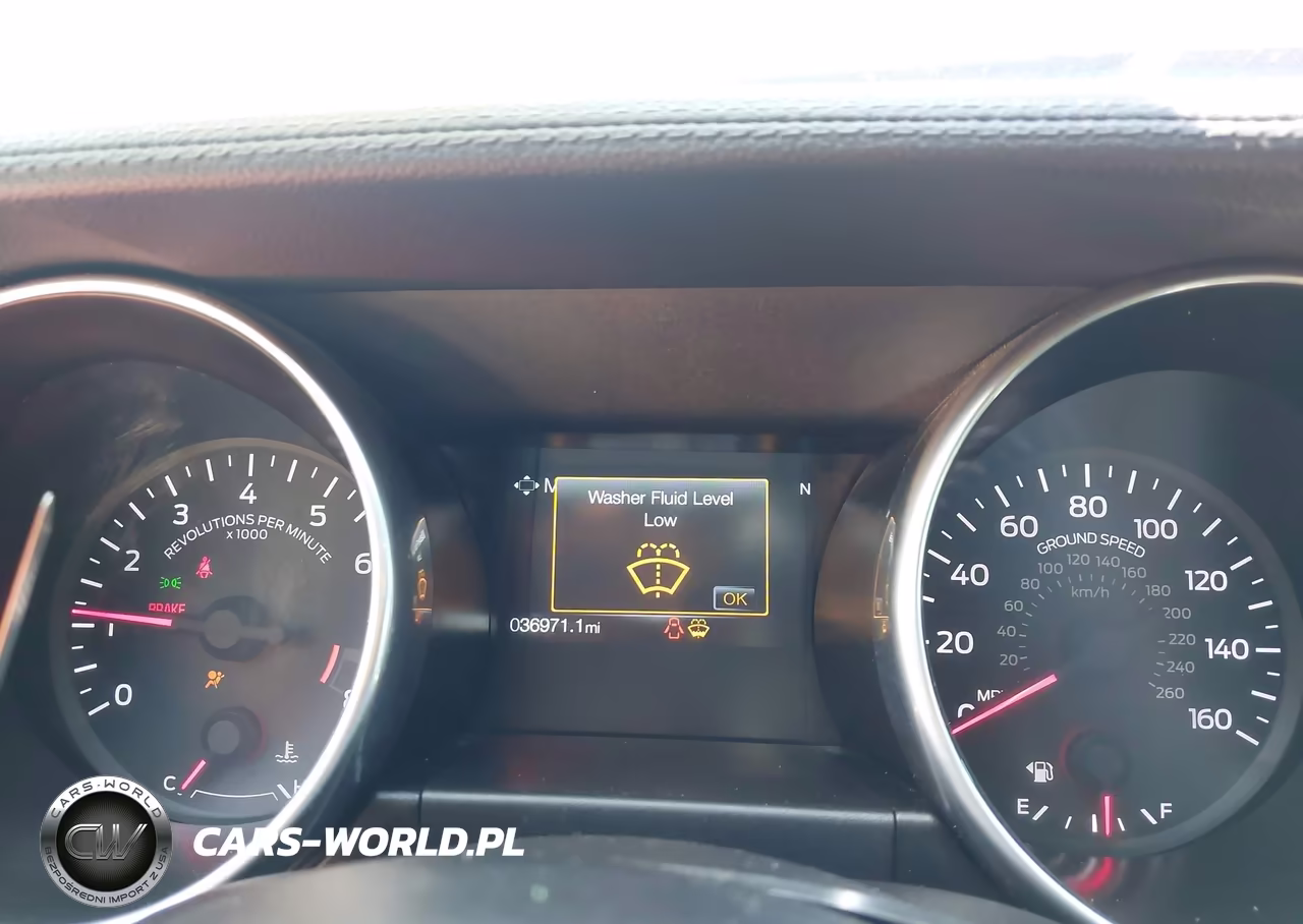 2019 Ford Mustang Gt Premium VIN:1FA6P8CF0K5108716 - 7