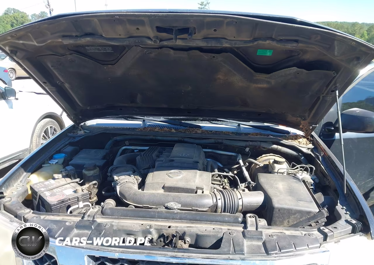 2009 Nissan Frontier Se VIN:1N6AD06W09C404011 - 10
