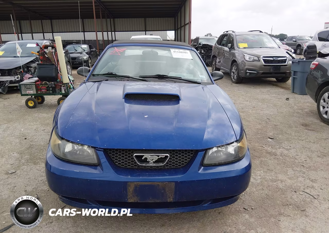 2004 Ford Mustang VIN:1FAFP44674F188097 - 12