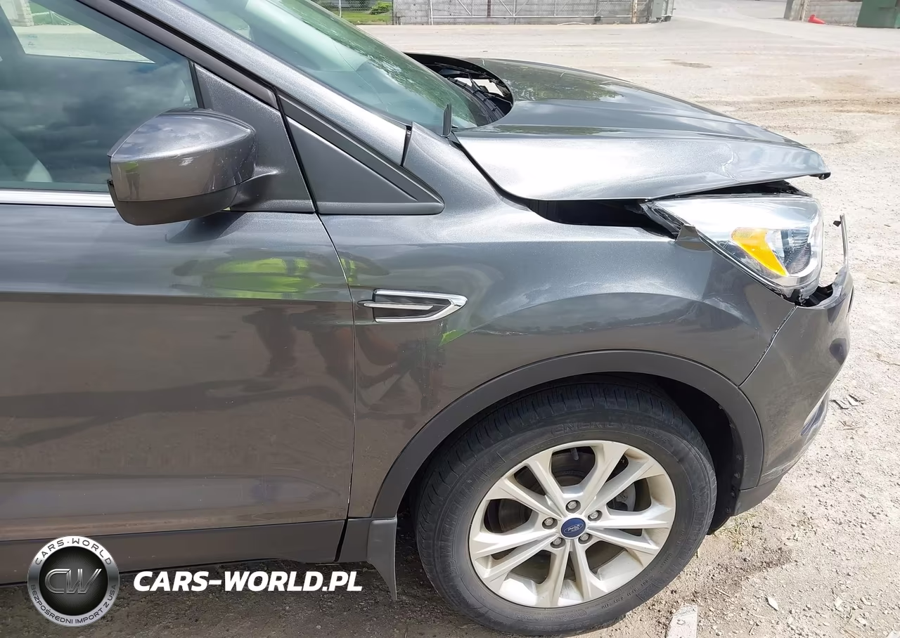 2017 Ford Escape Se VIN:1FMCU0GD5HUE44887 - 17