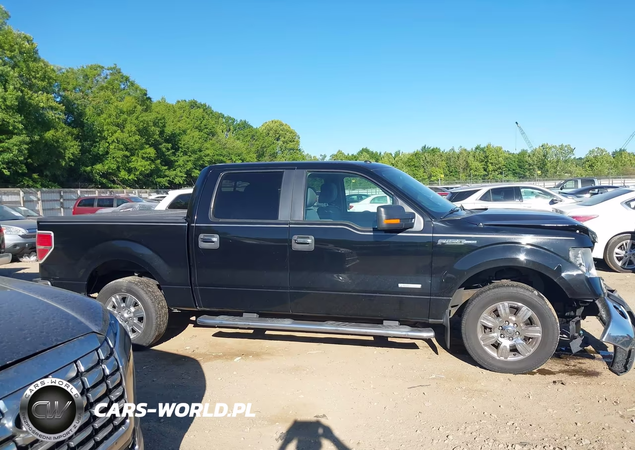 2011 Ford F-150 Xlt VIN:1FTFW1CT9BFD00429 - 13