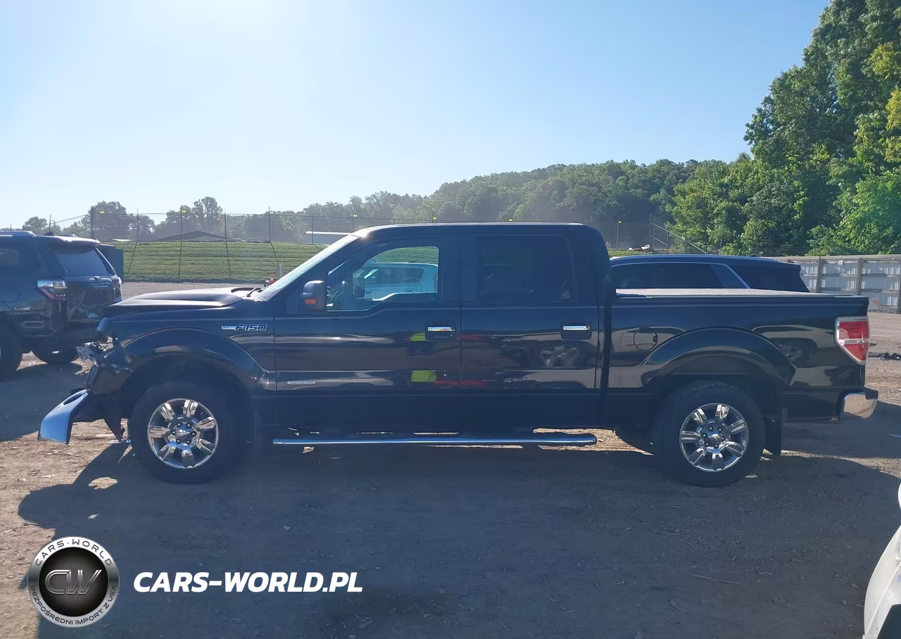 2011 Ford F-150 Xlt VIN:1FTFW1CT9BFD00429 - 14