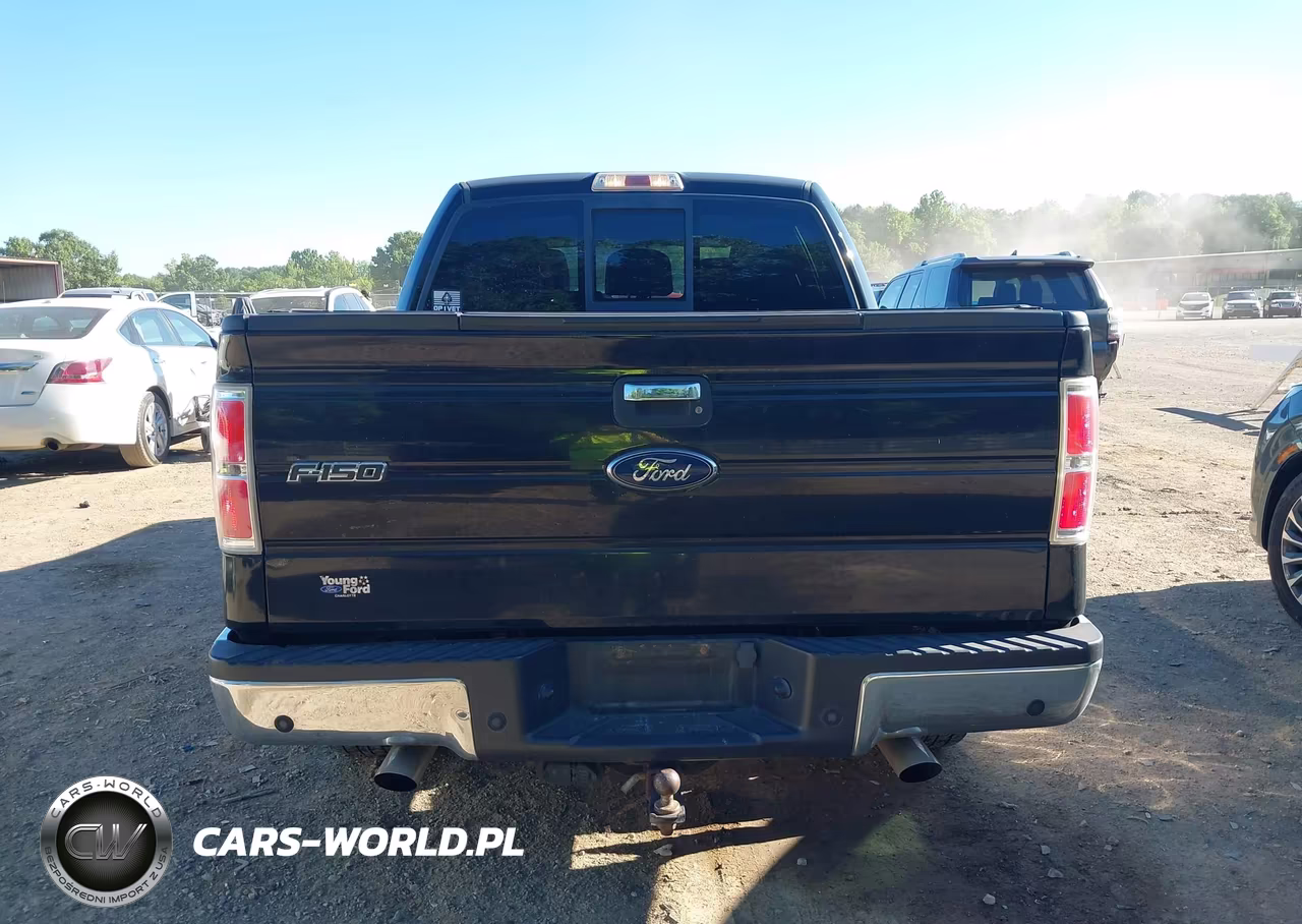 2011 Ford F-150 Xlt VIN:1FTFW1CT9BFD00429 - 16