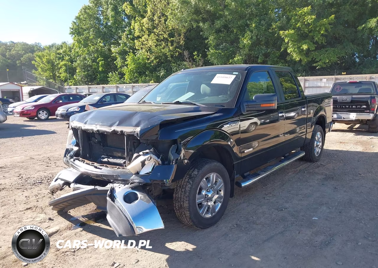 2011 Ford F-150 Xlt VIN:1FTFW1CT9BFD00429 - 2