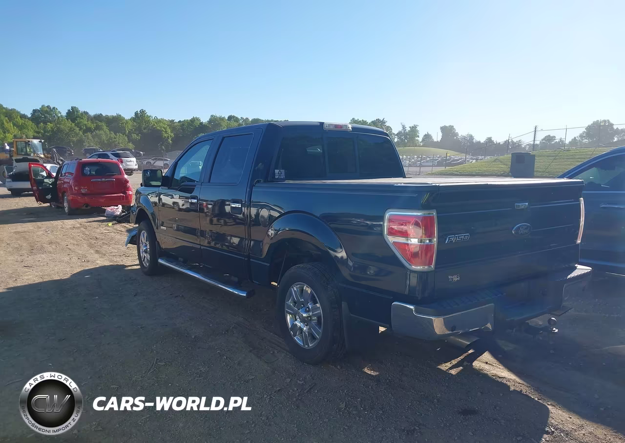 2011 Ford F-150 Xlt VIN:1FTFW1CT9BFD00429 - 3