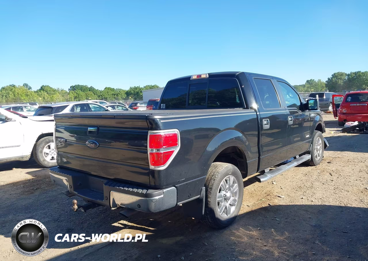 2011 Ford F-150 Xlt VIN:1FTFW1CT9BFD00429 - 4
