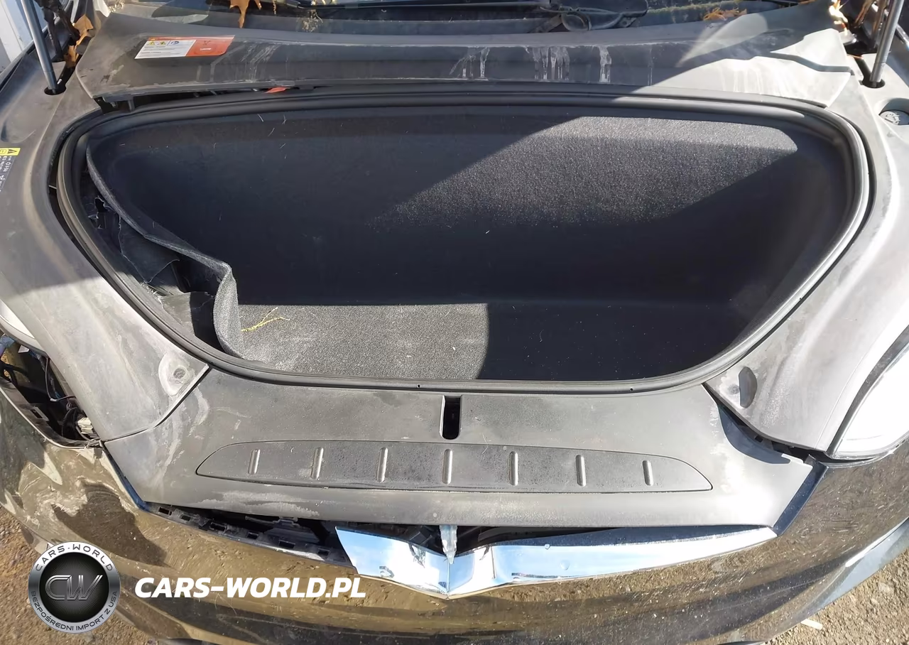 2018 Tesla Model X 100D-75D-P100D VIN:5YJXCBE21JF089026 - 10