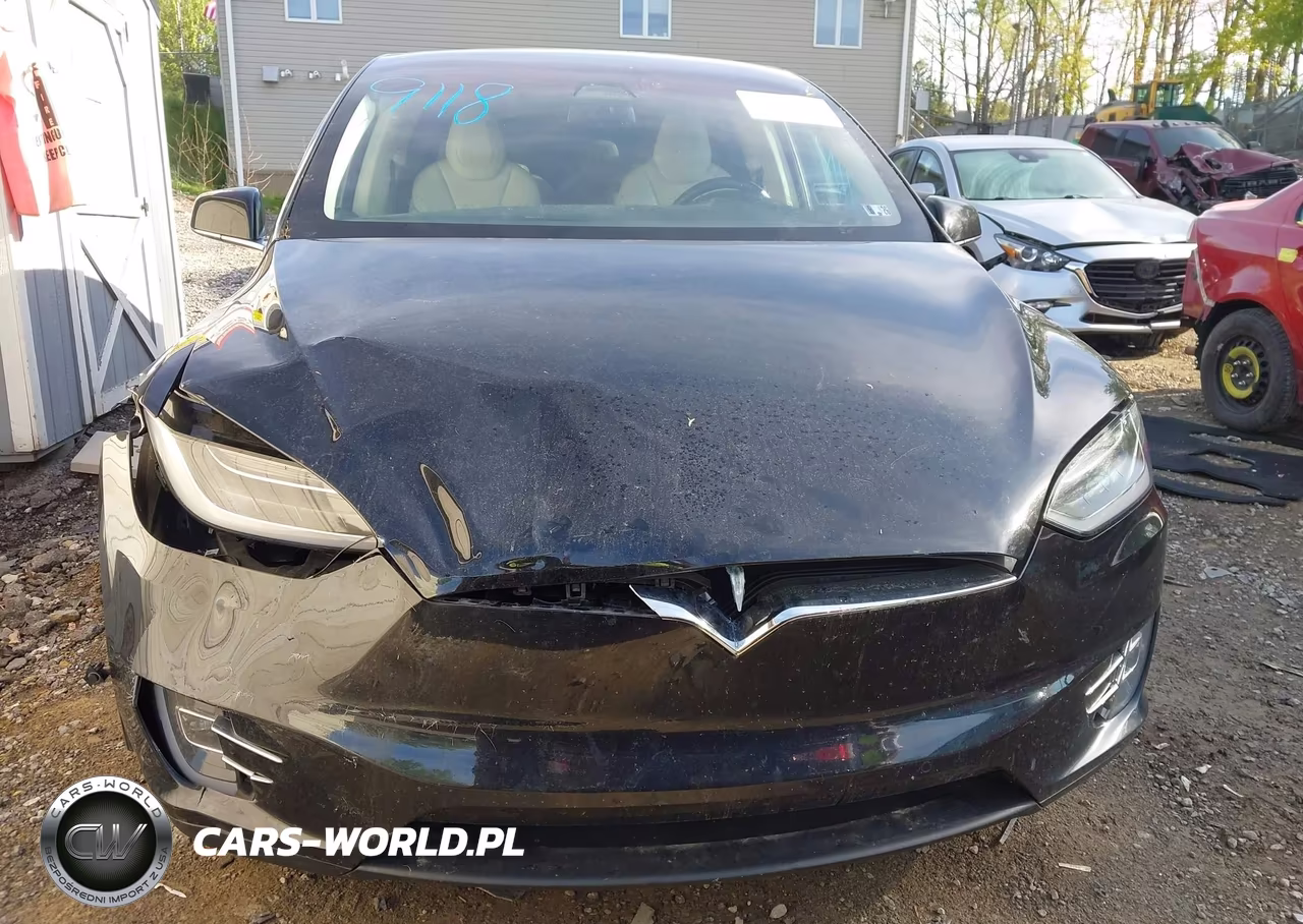 2018 Tesla Model X 100D-75D-P100D VIN:5YJXCBE21JF089026 - 12