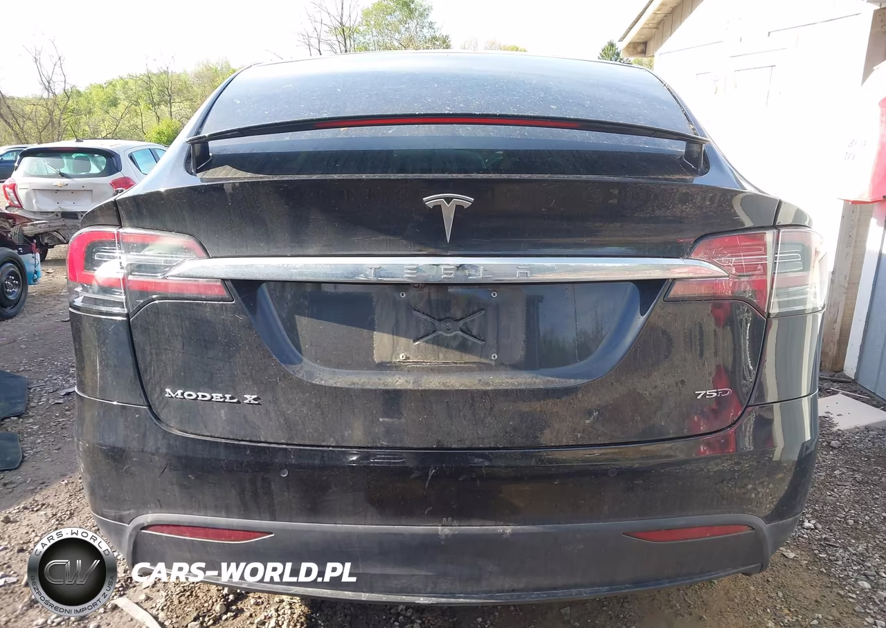 2018 Tesla Model X 100D-75D-P100D VIN:5YJXCBE21JF089026 - 16