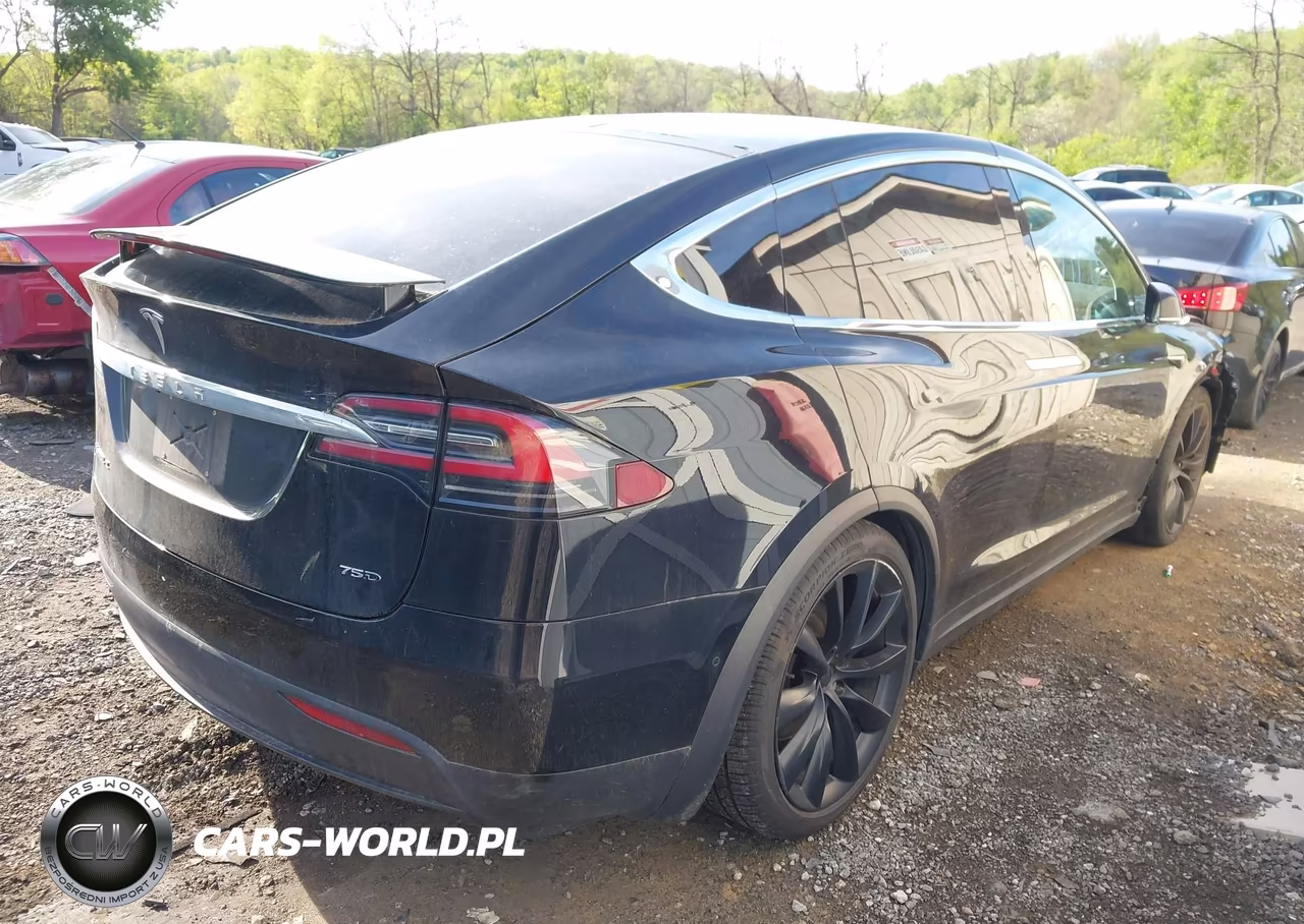 2018 Tesla Model X 100D-75D-P100D VIN:5YJXCBE21JF089026 - 4