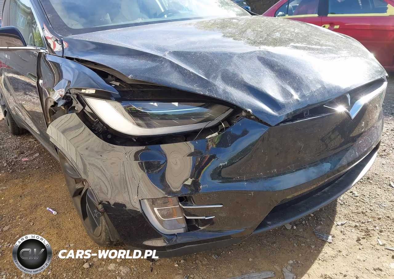 2018 Tesla Model X 100D-75D-P100D VIN:5YJXCBE21JF089026 - 6