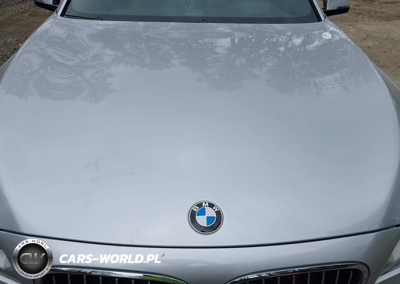 2013 BMW 750Li VIN:WBAYE8C58DDS15910 - 10