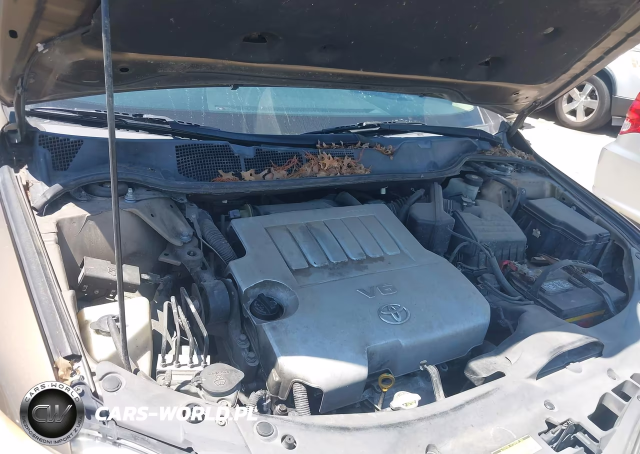 2010 Toyota Venza Base V6 VIN:4T3ZK3BB5AU027211 - 10