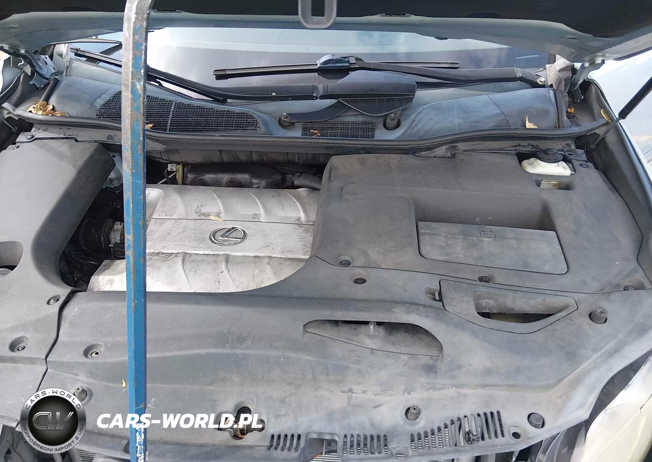 2010 Lexus Rx 350 VIN:2T2ZK1BA6AC033391 - 10