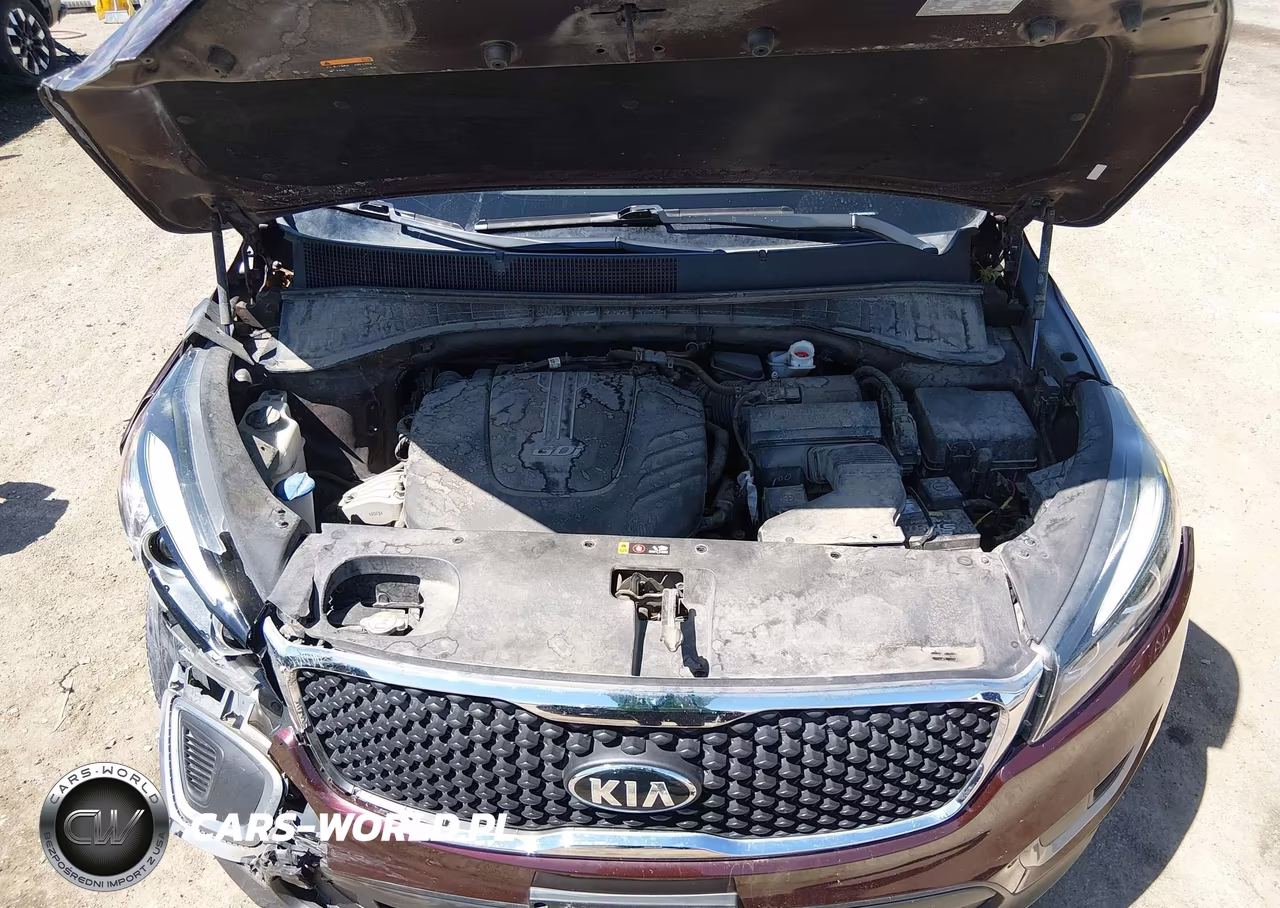 2017 Kia Sorento 3.3L Lx VIN:5XYPGDA59HG250015 - 10