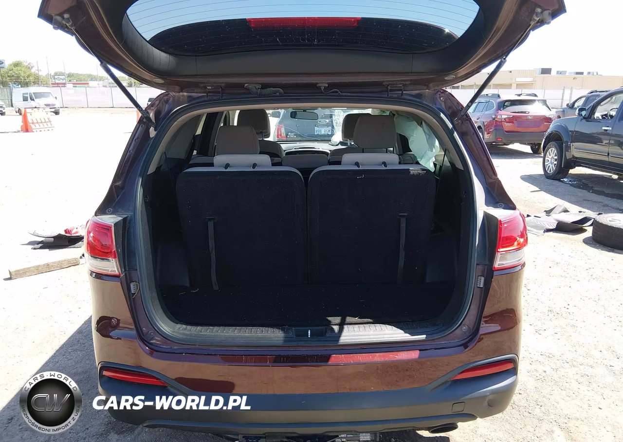 2017 Kia Sorento 3.3L Lx VIN:5XYPGDA59HG250015 - 17