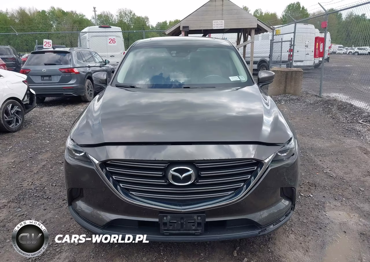 2016 Mazda Cx-9 Touring VIN:JM3TCBCY2G0100894 - 12