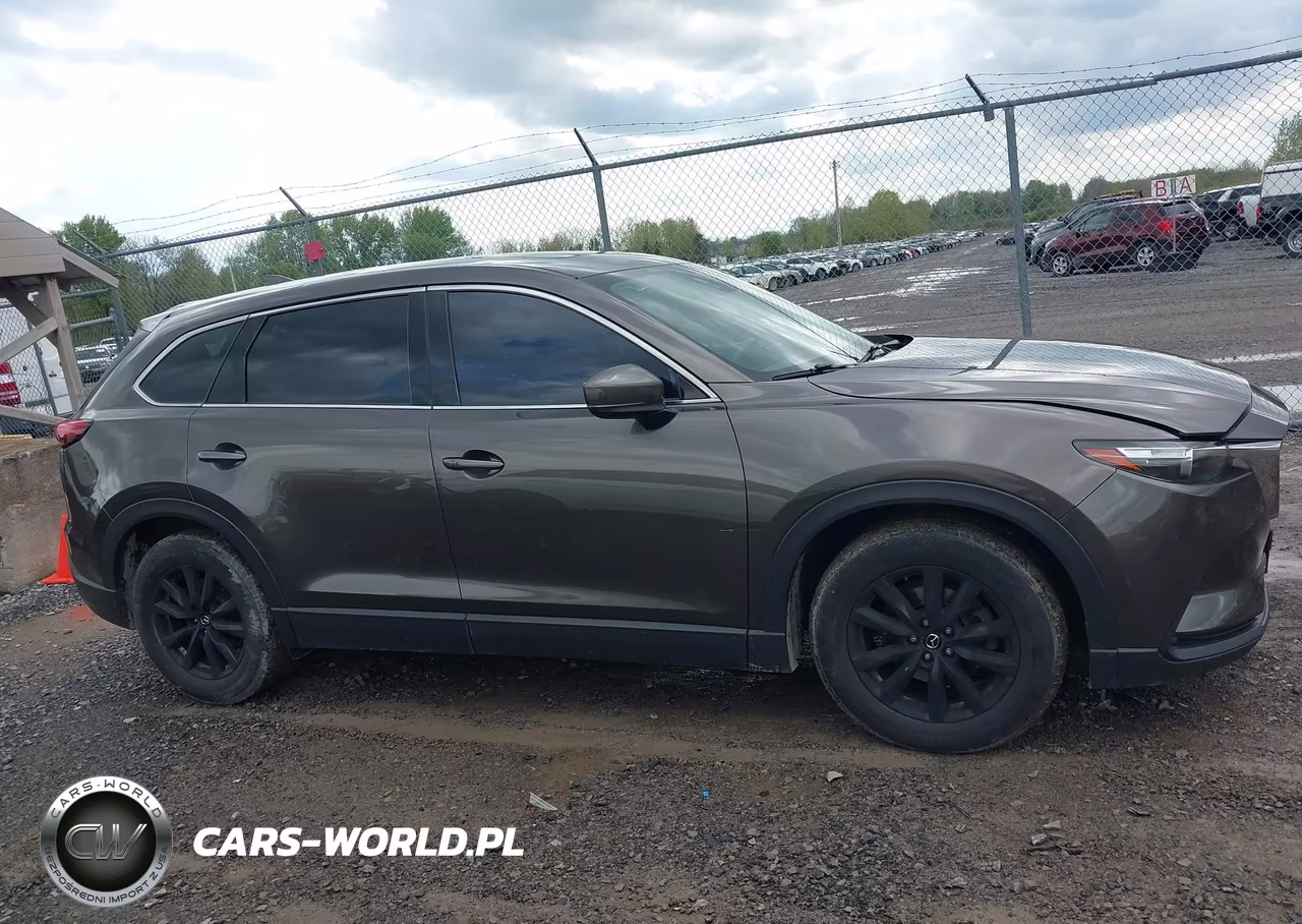 2016 Mazda Cx-9 Touring VIN:JM3TCBCY2G0100894 - 13