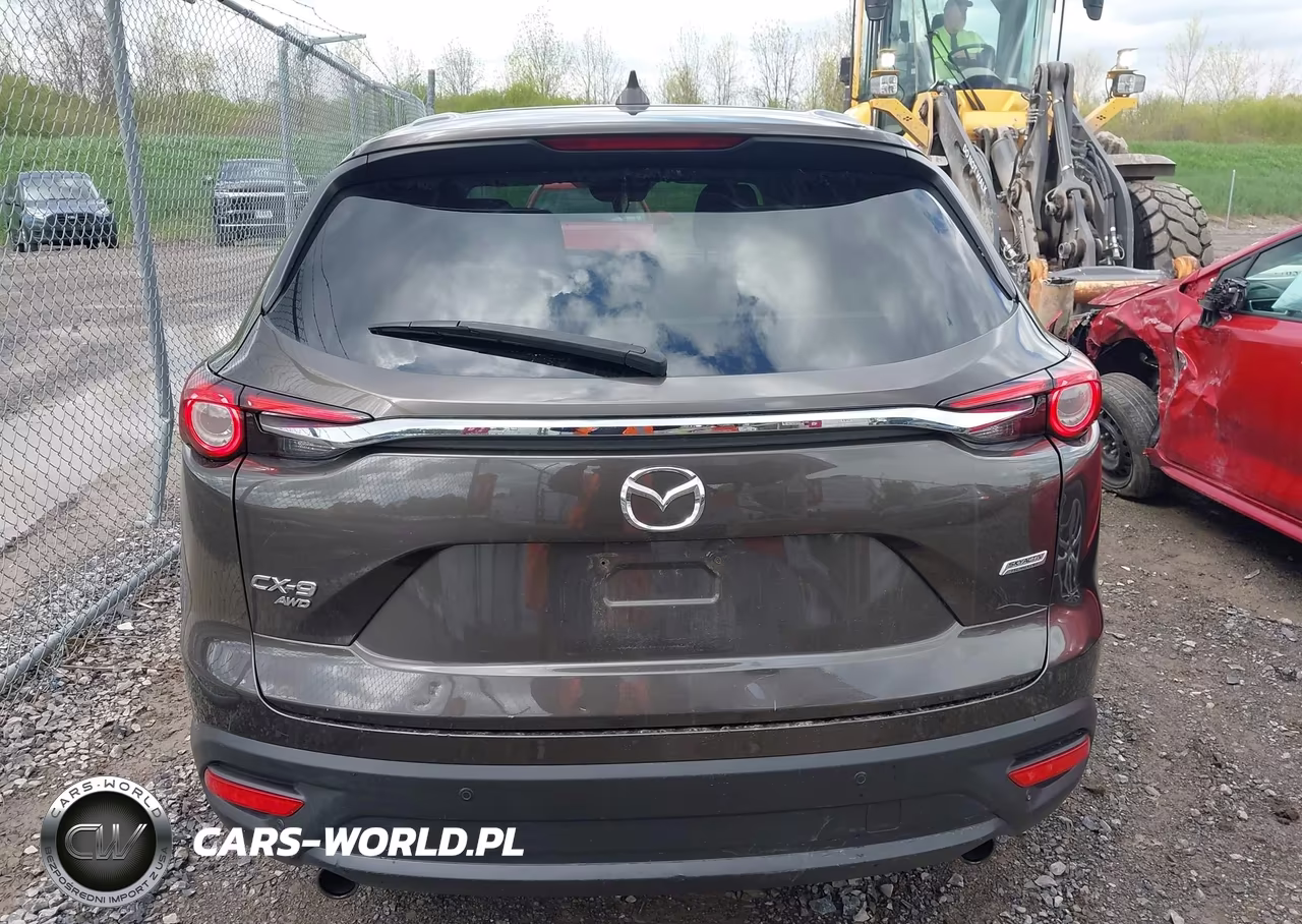 2016 Mazda Cx-9 Touring VIN:JM3TCBCY2G0100894 - 16