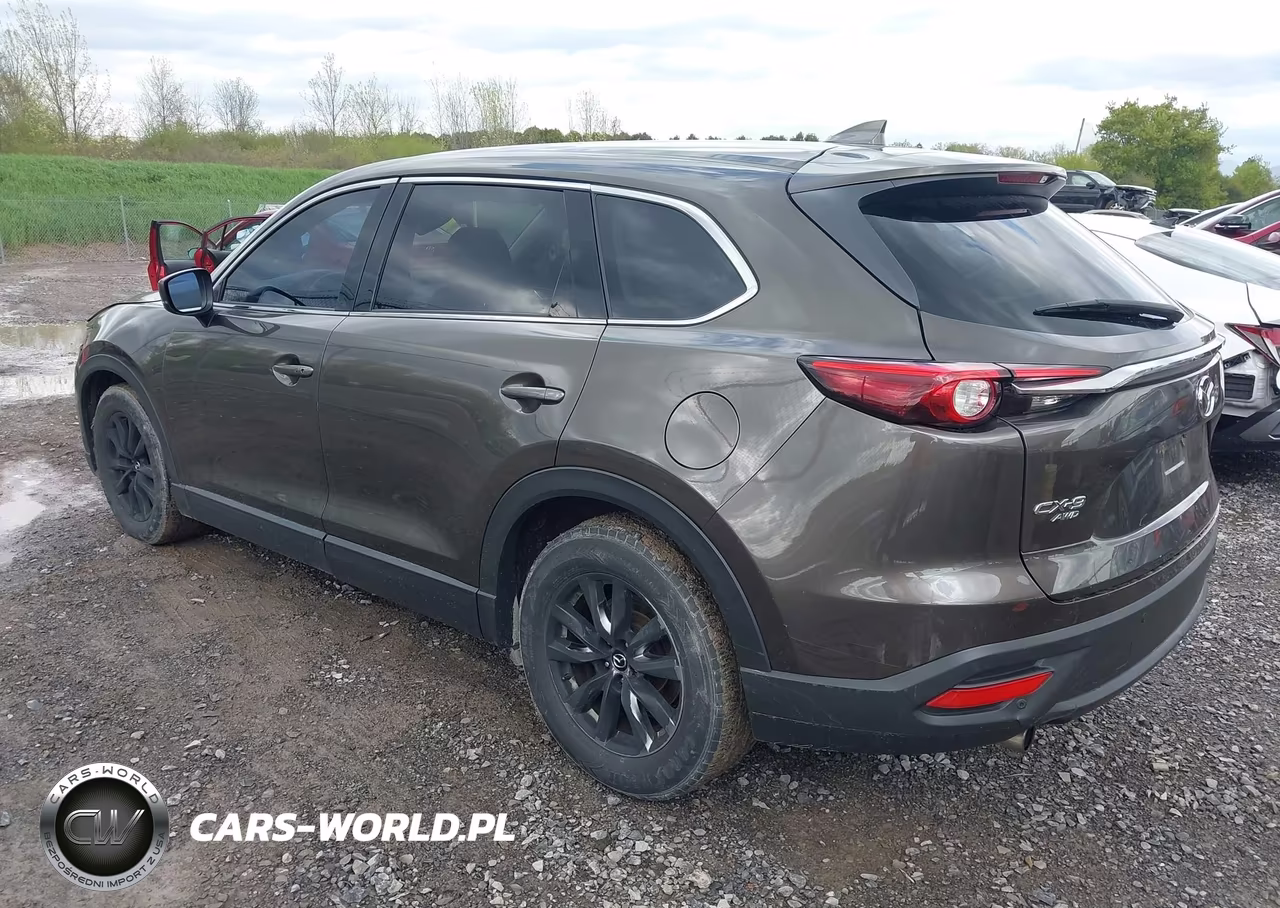 2016 Mazda Cx-9 Touring VIN:JM3TCBCY2G0100894 - 3