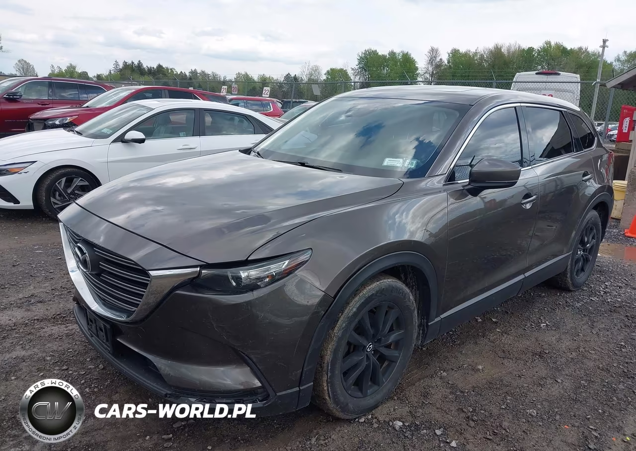 2016 Mazda Cx-9 Touring VIN:JM3TCBCY2G0100894 - 6