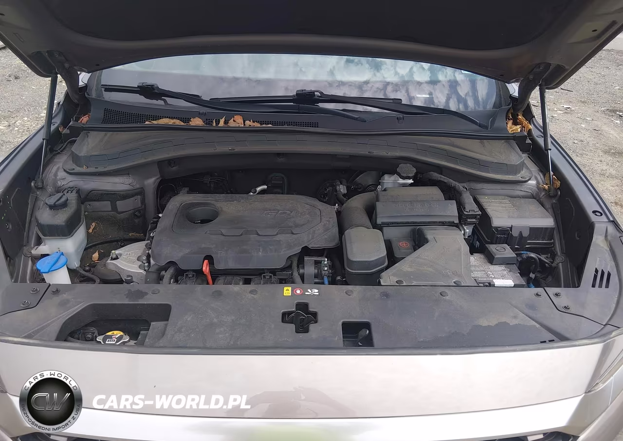 2020 Hyundai Santa Fe Se VIN:5NMS2CAD2LH168104 - 10