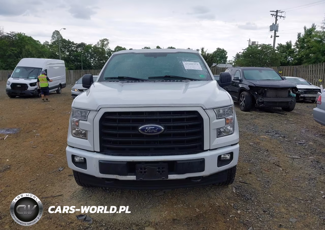 2017 Ford F-150 Xl VIN:1FTEX1EP8HFC74066 - 12