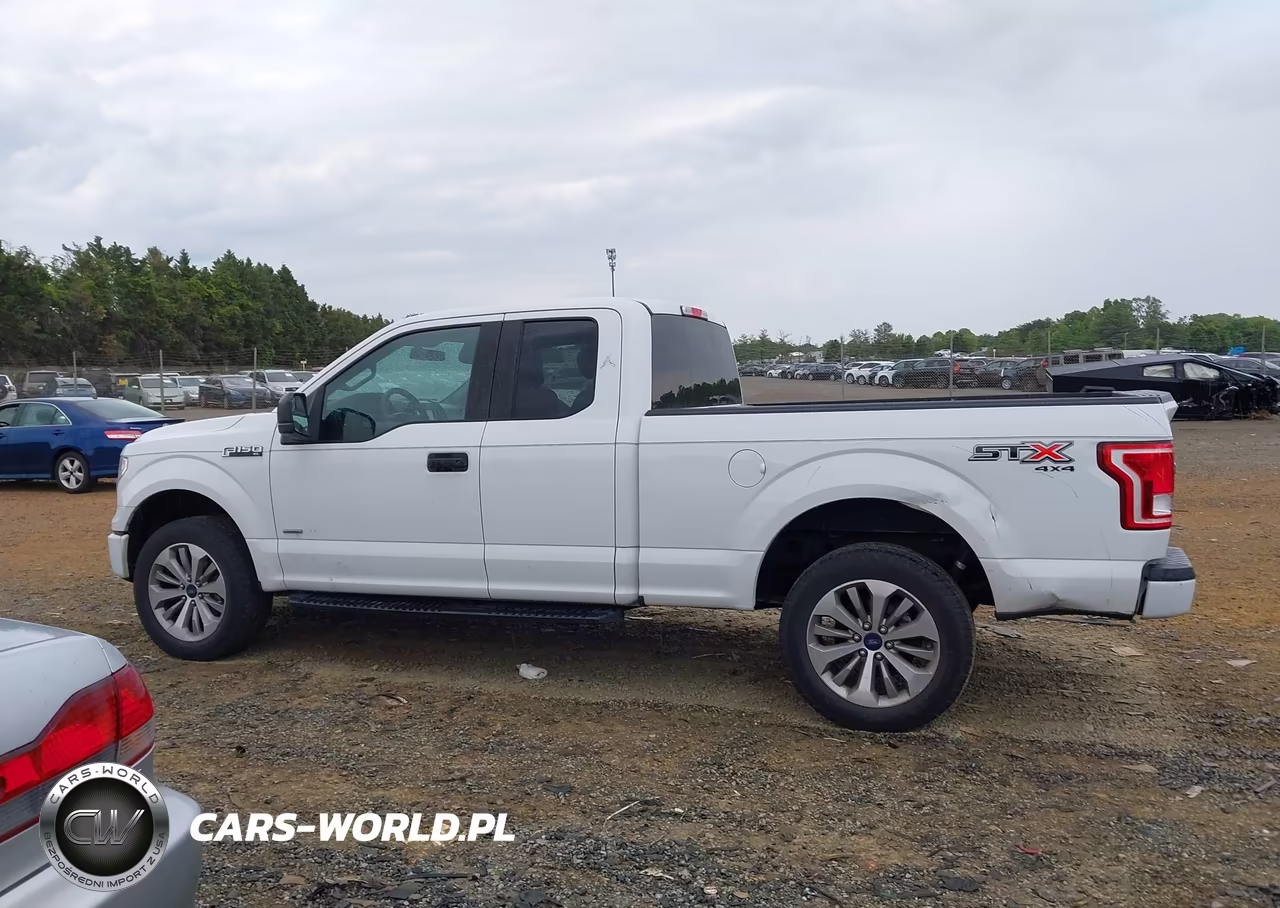 2017 Ford F-150 Xl VIN:1FTEX1EP8HFC74066 - 14