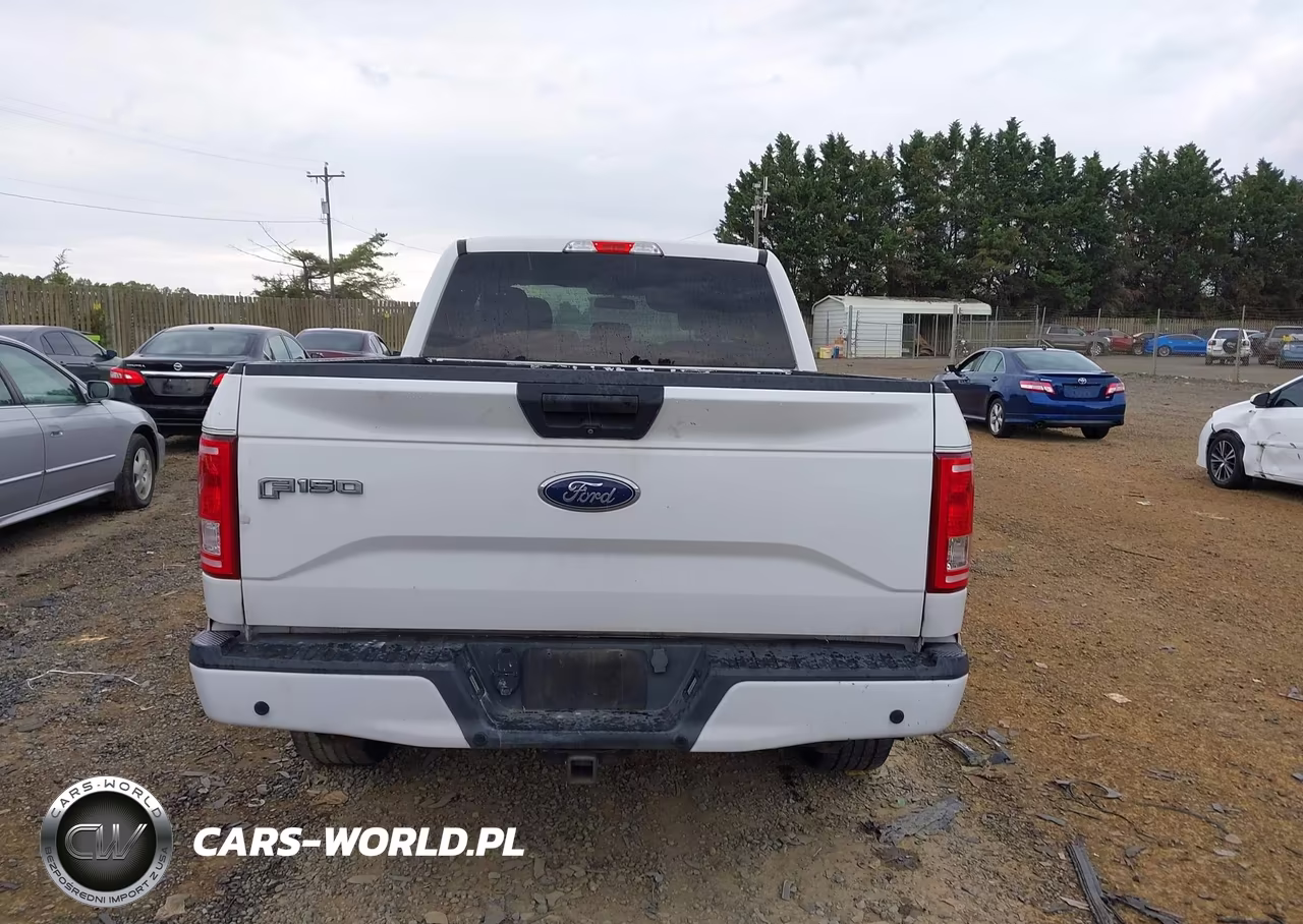 2017 Ford F-150 Xl VIN:1FTEX1EP8HFC74066 - 16