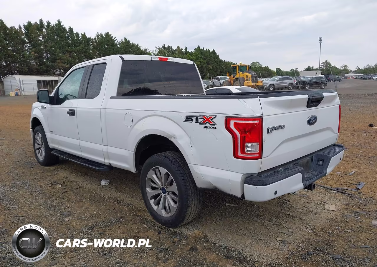 2017 Ford F-150 Xl VIN:1FTEX1EP8HFC74066 - 3